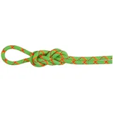 Mammut Alpine Core Protect Dry 8 Mm Seil - Dry Standard / Halo / Vibrant Orange - 50 m