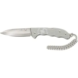Victorinox Evoke Alox Silber