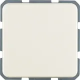 Berker Steckdose ws 4715