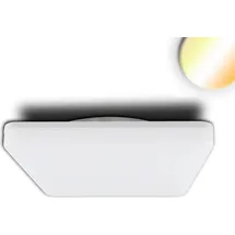 ISOLED LED Decken/Wandleuchte 24W quadratisch IP54