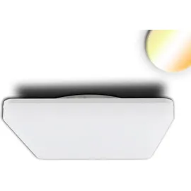 ISOLED LED Decken/Wandleuchte 24W quadratisch IP54