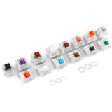 Glorious PC Gaming Race Glorious Keyboard Switch Sample Pack, 14er-Pack (G-KG)