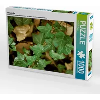 Calvendo Puzzle Efeuranke 1000 Teile Lege-Größe 48 x 64