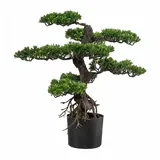 creativ-green Kunstpflanze Bonsai, im Topf, Höhe 75 cm