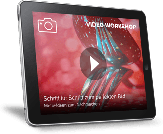 Video-Workshop: Schritt für Schritt zum perfekten Bild