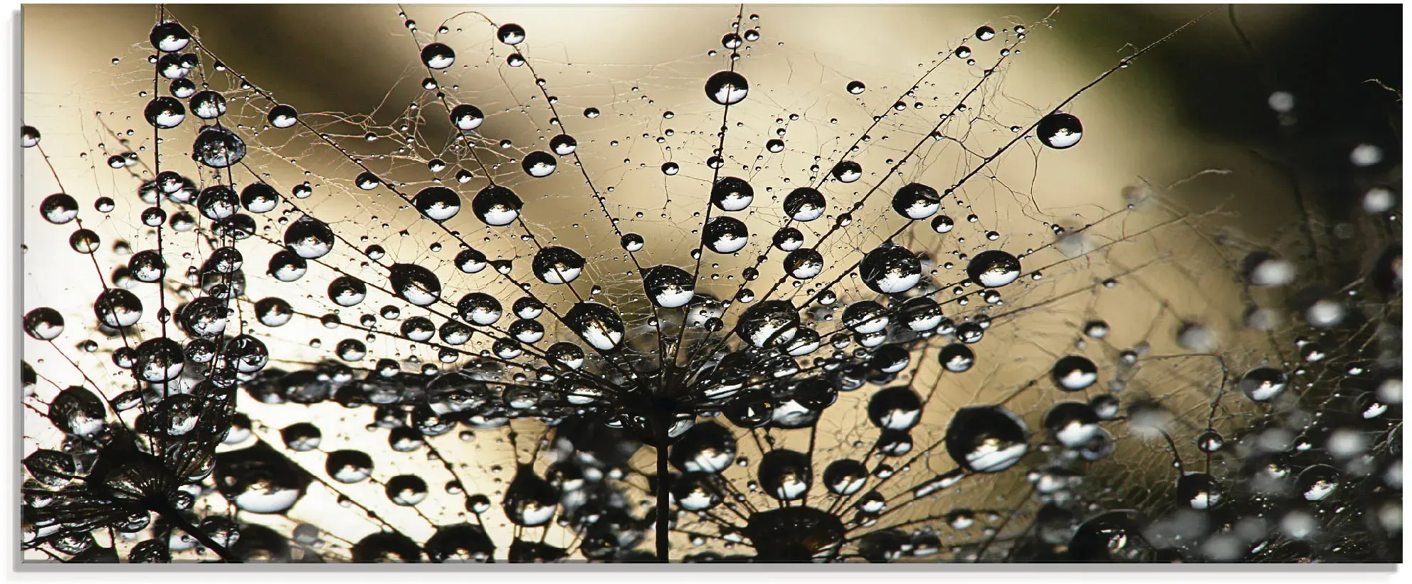 Glasbild ARTLAND 