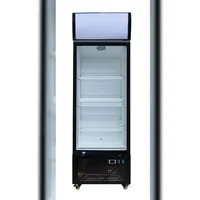 Skyrainbow Getränkekühlschrank (305 l)