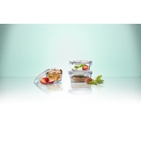 Click`n Store Click`n Store Frischhaltedosen Set Gefrierdosen BPA frei