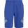 adidas Badeshorts Big Bars Semi Lucid Blue/White XL