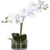 Künstliche Orchidee - Saitama | 40 cm | in Glasschale