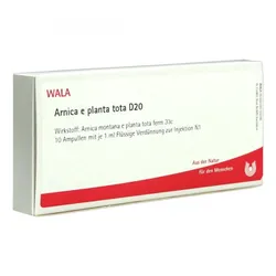 Arnica E Planta tota D20 Ampullen