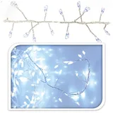 Gravidus LED-Lichterkette mit 100 LED Cluster Lichterkette Draht Silber Weiß