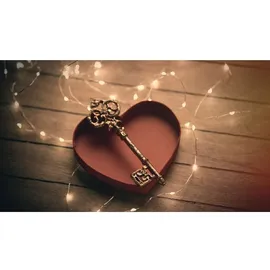 IDENA Lichterkette 50 LED Micro silber