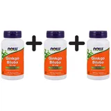 NOW Foods Ginkgo Biloba Kapseln 120 St.