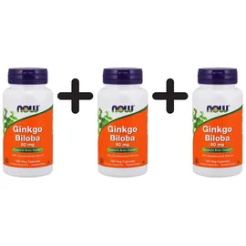 NOW Foods Ginkgo Biloba Kapseln 120 St.