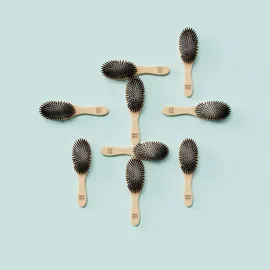 Marlies Möller Brushes Professional Shine Travel Allround Hair Brush