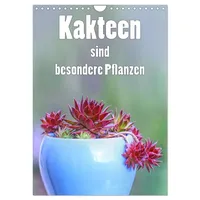 Calvendo Kakteen sind besondere Pflanzen (Wandkalender 2026 DIN A4