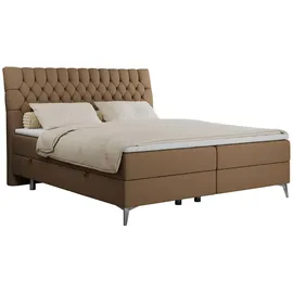 MKS Milen 160 x 200 cm H3 Braun