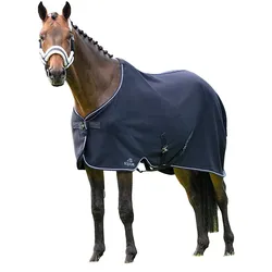 Equiline Climate Control Führanlagendecke