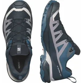 Salomon X Ultra 360 GTX Herren Carbon / India Ink / Deep Dive 42 2/3