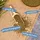 Lyra Pet Pond Koi Beauty Pellets Staple 2 x 10 l