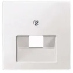 Merten Zentralplatte pws 298319