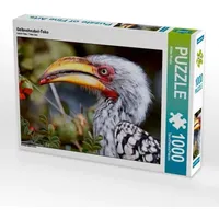 Calvendo Gelbschnabel-Toko (Puzzle)