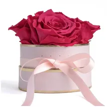 ROSEMARIE SCHULZ Heidelberg Rosenbox rund Infinity Rosen Pink - Blumenbox in Rosa mit 4 mal ewige Rose haltbar 3 Jahre - Freundinnen Geschenkideen und Geschenke für Freundinnen (Rosa-Pink)