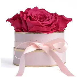 ROSEMARIE SCHULZ Heidelberg Rosenbox rund Infinity Rosen Pink - Blumenbox in Rosa mit 4 mal ewige Rose haltbar 3 Jahre - Freundinnen Geschenkideen und Geschenke für Freundinnen (Rosa-Pink)