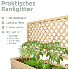 holz4home® holz4home Pflanzkasten mit Rankgitter Pflanzkübel mit Rankgitter Spalier für Rankpflanzen XL