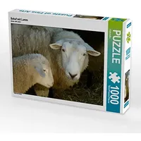 Calvendo Schaf mit Lamm Puzzle