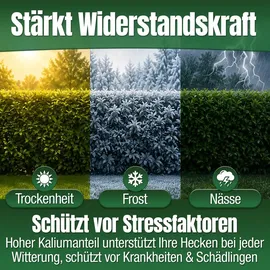 düngemeister Heckendünger für grüne Hecken 5 kg