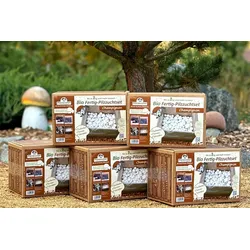 Super Angebot - 5 x weiße BIO Champignon-Pilzzucht Boxen