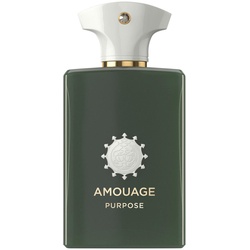 AMOUAGE Odyssey Purpose Eau de Parfum 100 ml