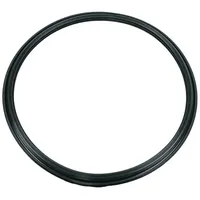 Whirlpool 481246668564 Türdichtung