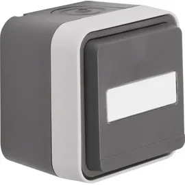 Berker Schuko-Steckdose Aufputz grau 1 St.