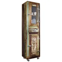 Massivmoebel24 Hochschrank 55 x 38 x 190 cm Mehrfarbig