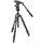 Manfrotto Befree Live Kit Twist Alu mit Fluid-Videokopf
