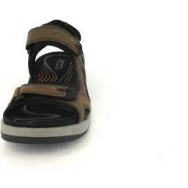 ECCO Offroad Herren espresso/cocoa 48