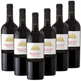 Diomede Nero di Troia Primitivo Puglia IGT 0,75l