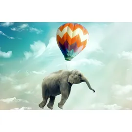 Queence »Balloon« Selbstklebend, kinderleichte Anbringung