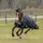 Bucas Anniversary Turnout Light Regendecke 0g 145 cm Schwarz/Silber