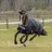 Bucas Anniversary Turnout Light Regendecke 0g 145 cm Schwarz/Silber