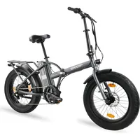 Sharp E-Fatbike 20 Zoll RH 0 cm grau