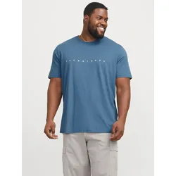Rundhalsshirt »JJESTAR JJ TEE SS NOOS PLS«, mit Logo Schriftzug, Gr. XXXL, Oceanview, , 31911647-XXXL