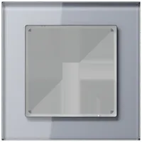 Jung Glasrahmen 1fach AC 581 GL KG