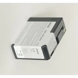 Epson T5809 light light schwarz