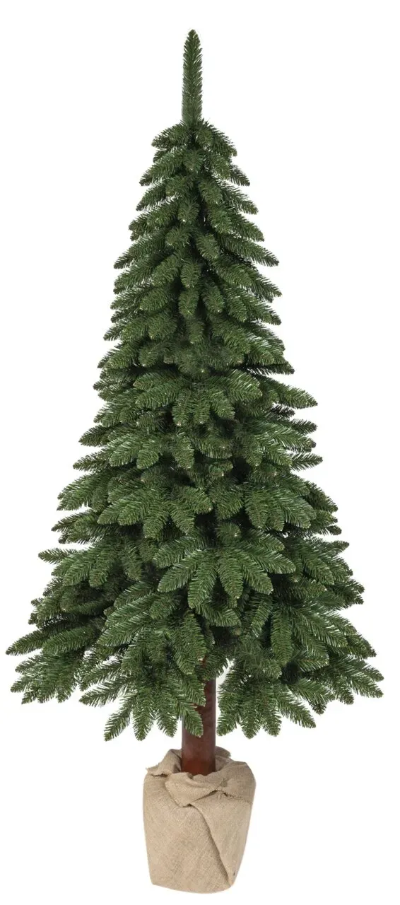 Everlands Tannenbaum Kiefer Tora - H ca. 210,00