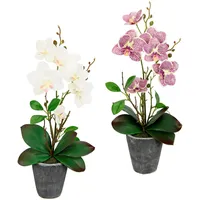 I.GE.A. Kunstpflanze I.GE.A. "Orchidee", beige (creme, rosa), B:19cm H:40cm L:40cm, Kunstpflanzen, Kunstpflanze, Mit Blättern und Luftwurzeln, im Topf aus Keramik, 2er Set