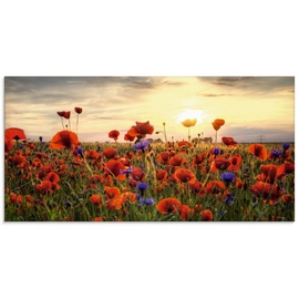 Artland Glasbild »Mohnblumen«, Blumen, (1 St.), in verschiedenen Größen, rot